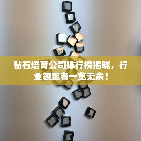 钻石培育公司排行榜揭晓，行业领军者一览无余！