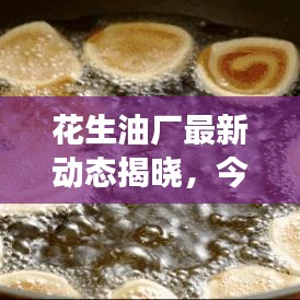 花生油厂最新动态揭晓，今日消息震撼来袭！