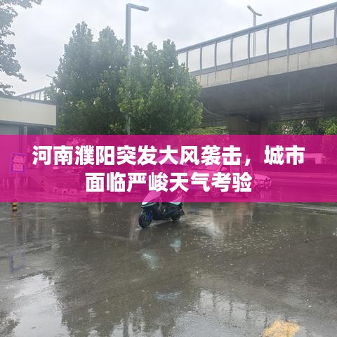 河南濮阳突发大风袭击，城市面临严峻天气考验