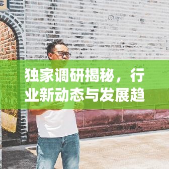 独家调研揭秘，行业新动态与发展趋势——蜜蜂网视角