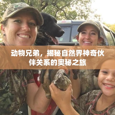 动物兄弟，揭秘自然界神奇伙伴关系的奥秘之旅