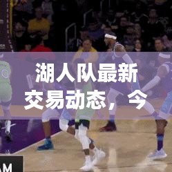 湖人队最新交易动态，今日重磅操作揭秘！
