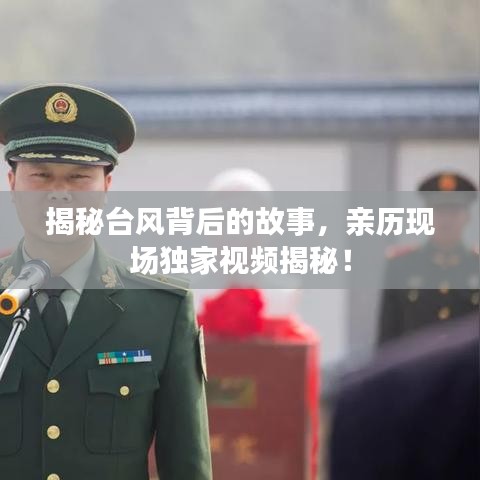 揭秘台风背后的故事，亲历现场独家视频揭秘！