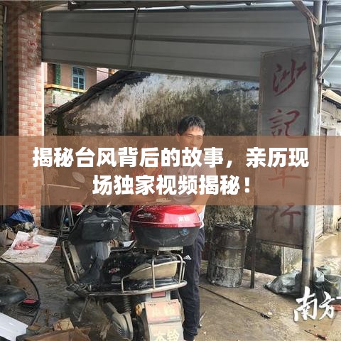 揭秘台风背后的故事,亲历现场独家视频揭秘!