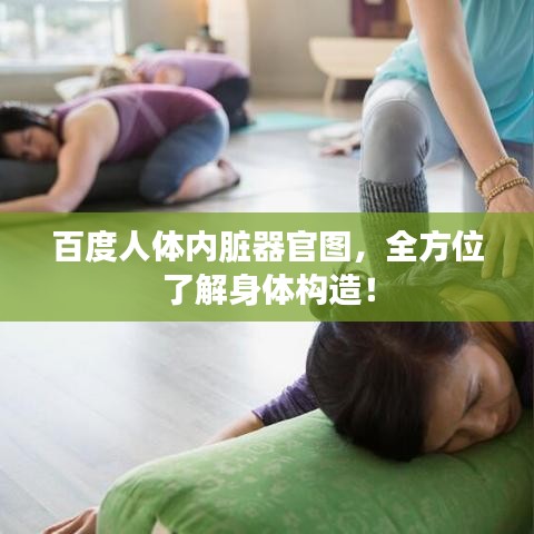 百度人体内脏器官图,全方位了解身体构造!
