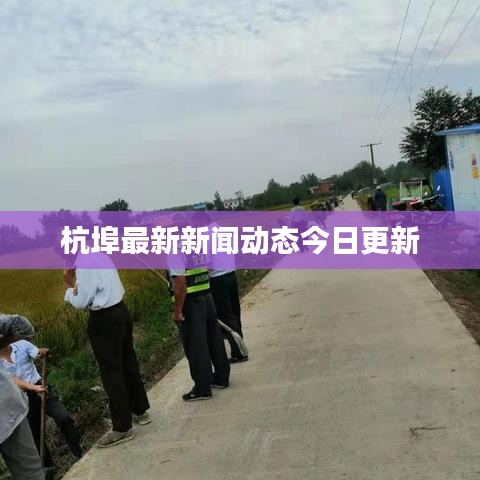 杭埠最新新闻动态今日更新