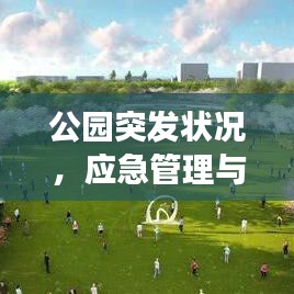 公园突发状况，应急管理与公众安全的紧密交汇点