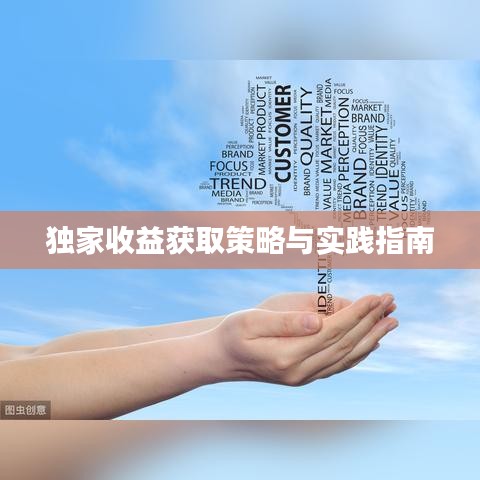 独家收益获取策略与实践指南
