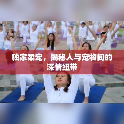 独家柔宠，揭秘人与宠物间的深情纽带