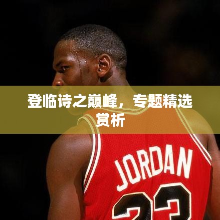 登临诗之巅峰，专题精选赏析