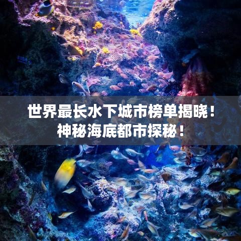 世界最长水下城市榜单揭晓!神秘海底都市探秘!