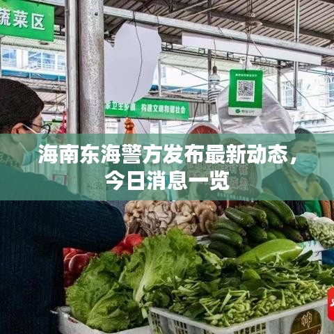 海南东海警方发布最新动态，今日消息一览