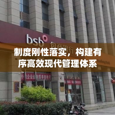 制度刚性落实，构建有序高效现代管理体系