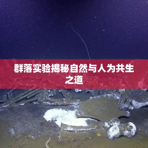 群落实验揭秘自然与人为共生之道