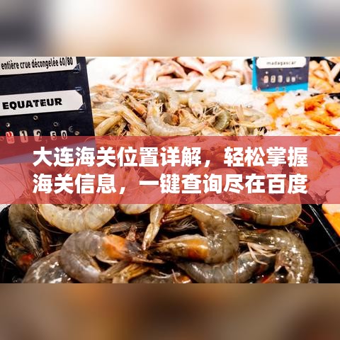大连海关位置详解,轻松掌握海关信息,一键查询尽在百度!