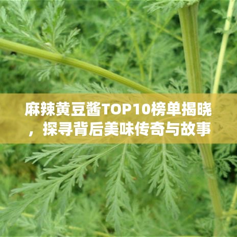 麻辣黄豆酱TOP10榜单揭晓，探寻背后美味传奇与故事！