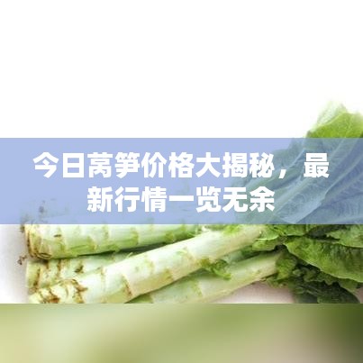 今日莴笋价格大揭秘，最新行情一览无余