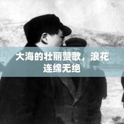 大海的壮丽赞歌,浪花连绵无绝