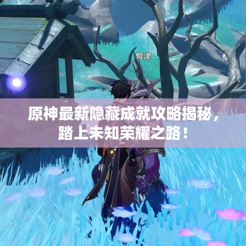 原神最新隐藏成就攻略揭秘，踏上未知荣耀之路！
