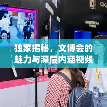 独家揭秘，文博会的魅力与深层内涵视频欣赏