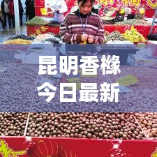 昆明香橼今日最新收购价格曝光