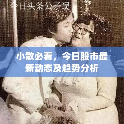 小散必看，今日股市最新动态及趋势分析