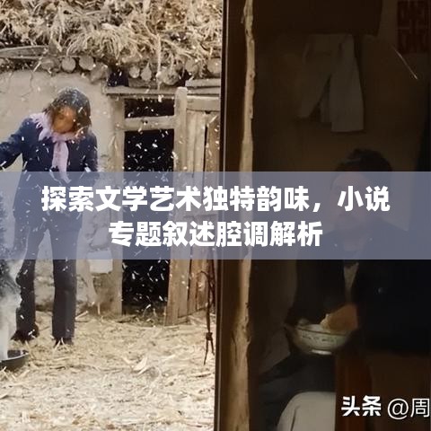 探索文学艺术独特韵味，小说专题叙述腔调解析