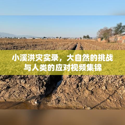 小溪洪灾实录,大自然的挑战与人类的应对视频集锦