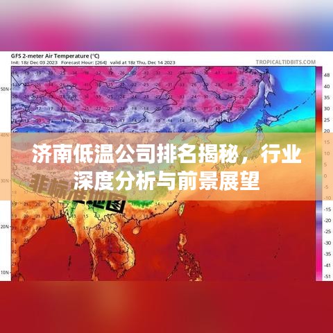 济南低温公司排名揭秘，行业深度分析与前景展望