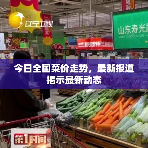 今日全国菜价走势，最新报道揭示最新动态