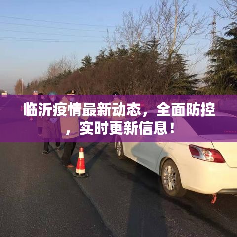 临沂疫情最新动态，全面防控，实时更新信息！