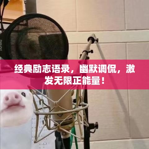 经典励志语录，幽默调侃，激发无限正能量！