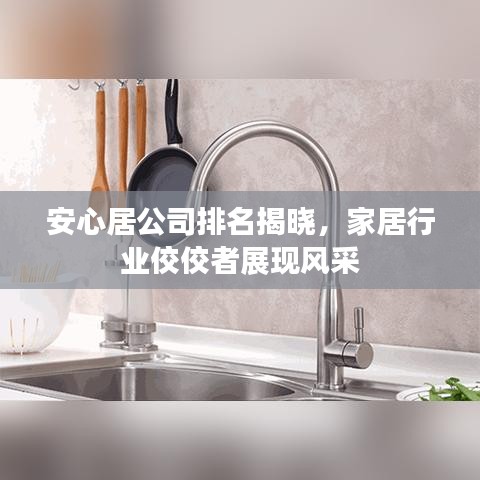 安心居公司排名揭晓，家居行业佼佼者展现风采