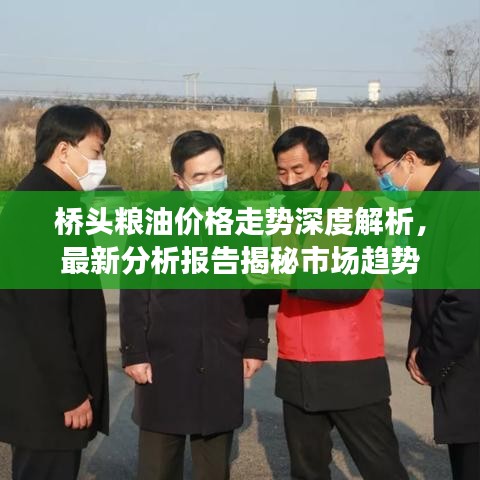 桥头粮油价格走势深度解析，最新分析报告揭秘市场趋势
