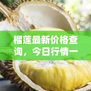 榴莲最新价格查询，今日行情一目了然！