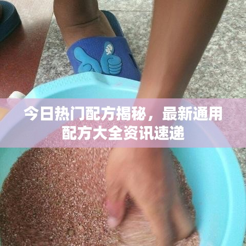 今日热门配方揭秘，最新通用配方大全资讯速递