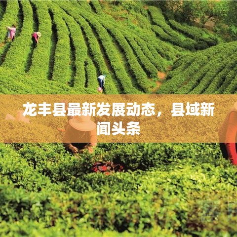 逆风飞扬 第5页