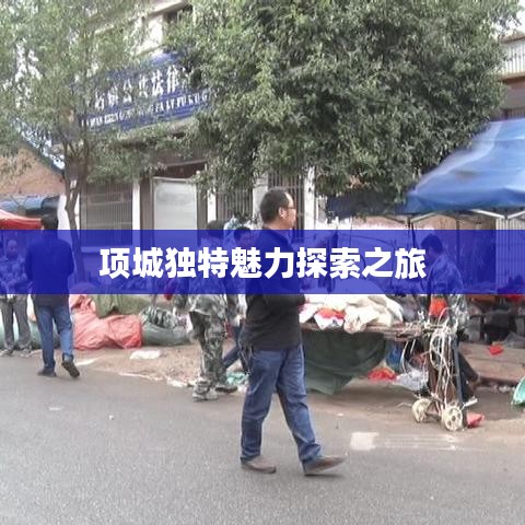 项城独特魅力探索之旅