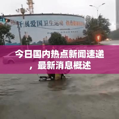 今日国内热点新闻速递，最新消息概述