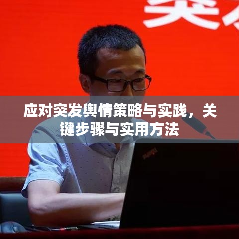 应对突发舆情策略与实践，关键步骤与实用方法