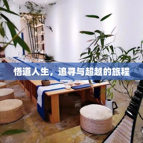 悟道人生，追寻与超越的旅程