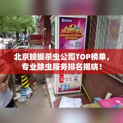 北京蟑螂杀虫公司TOP榜单，专业除虫服务排名揭晓！