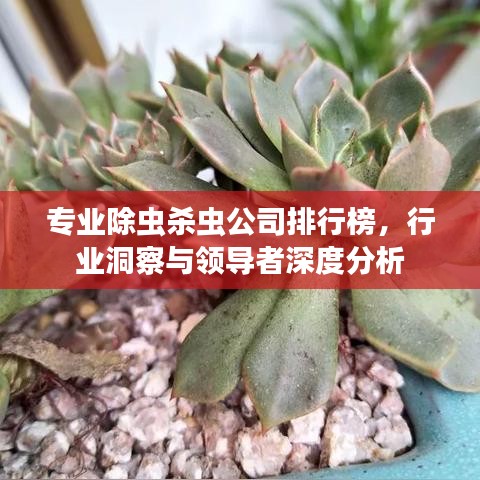 专业除虫杀虫公司排行榜，行业洞察与领导者深度分析
