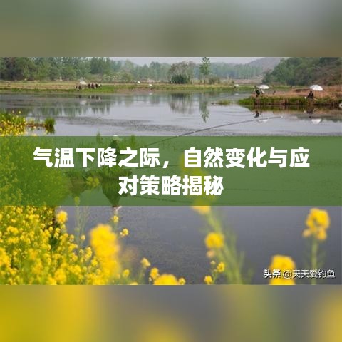气温下降之际，自然变化与应对策略揭秘