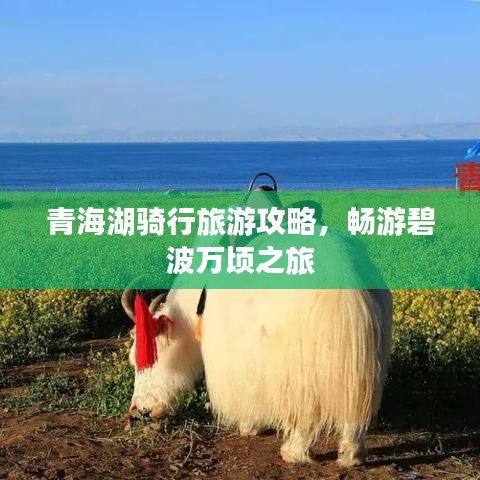青海湖骑行旅游攻略，畅游碧波万顷之旅