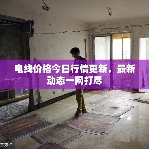 电线价格今日行情更新，最新动态一网打尽