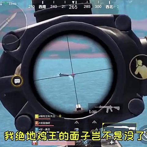 菜鸡中版本,战略优化方案LE版_v5.171,创意工作的新伙伴