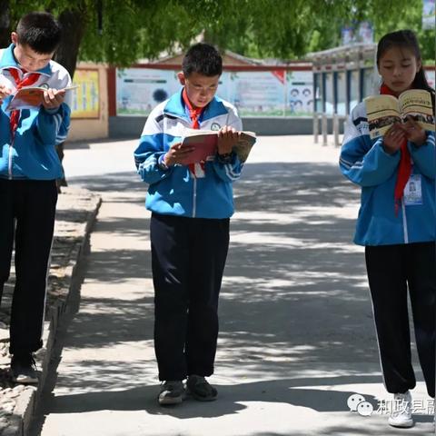 校比邻官方下载,实地分析验证数据 GT_v4.420