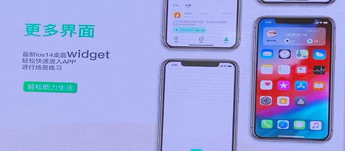 水果荣耀官方下载,实地评估解析数据&amp;移动版_v3.458