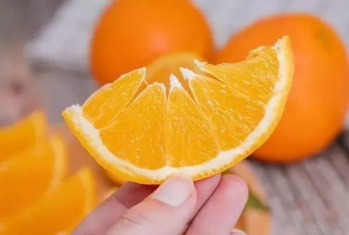 橙子视频新版本,定性解析说明&amp;Essential_v4.617